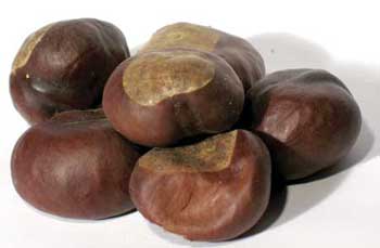 1 Lb Buckeyes whole