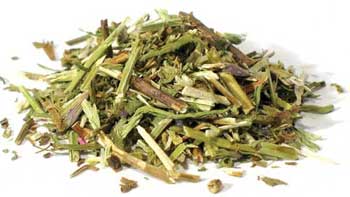 1 Lb Hyssop Cut (Hyssopus officinalis)