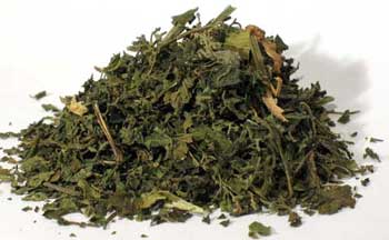 1 Lb Nettle “Stinging” Leaf cut (Urtica dioica)