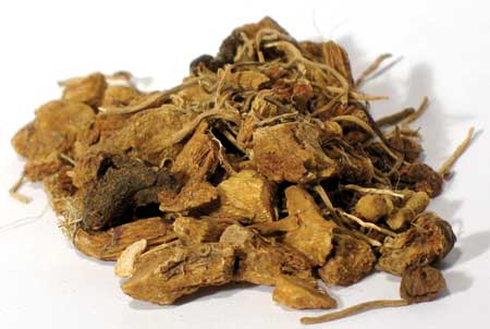 Solomon’s Seal Root Cut 1oz (Polygonatum species)