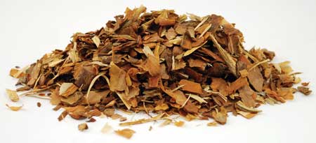 White Pine Bark cut 1oz (Pinus strobus)