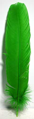(set of 10) Green feather 12″